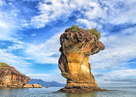 The Unforgettable Sarawak Nature Tou