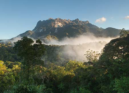 Borneo Wildlife Package