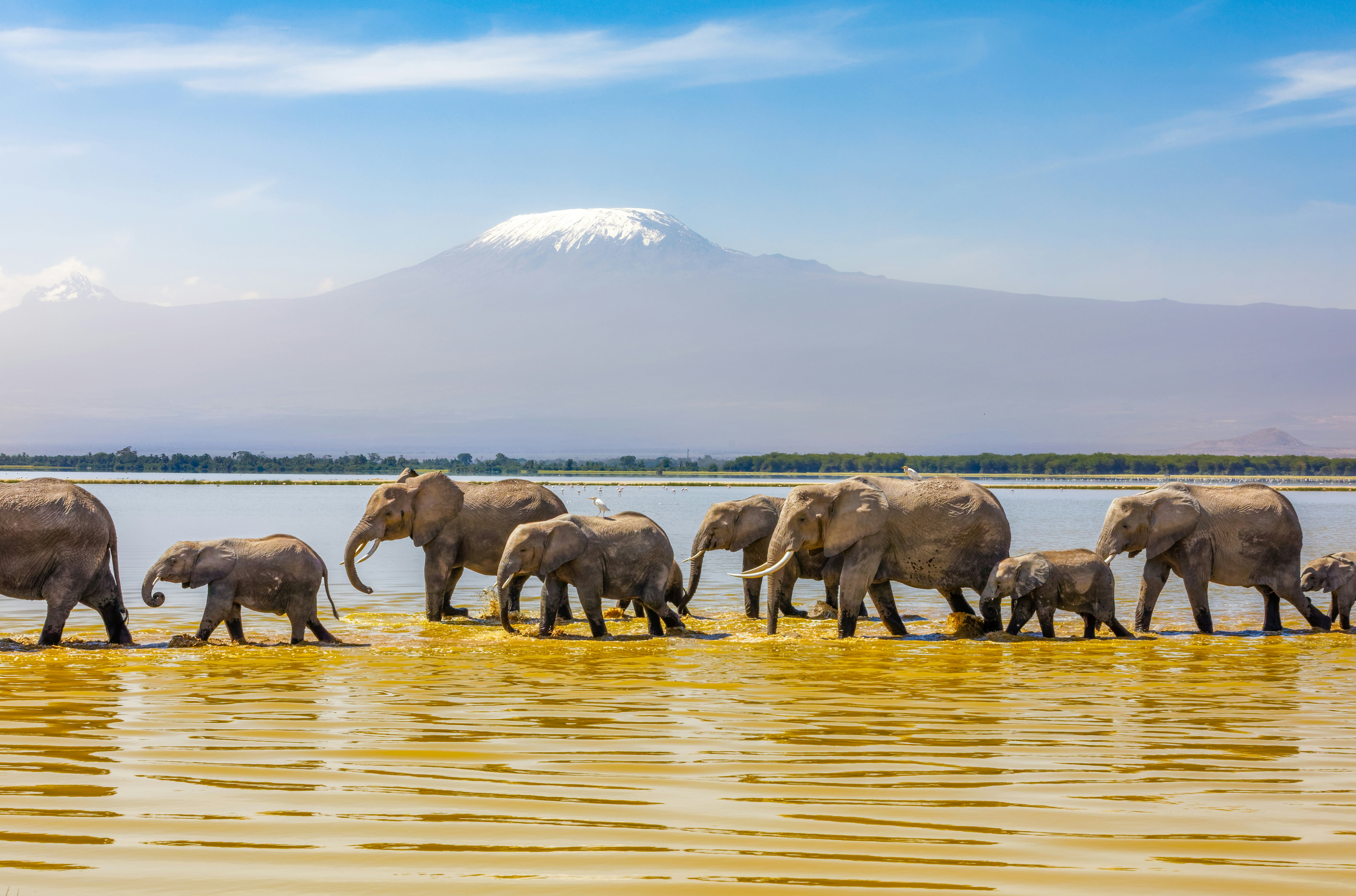 Holidays to Amboseli National Park