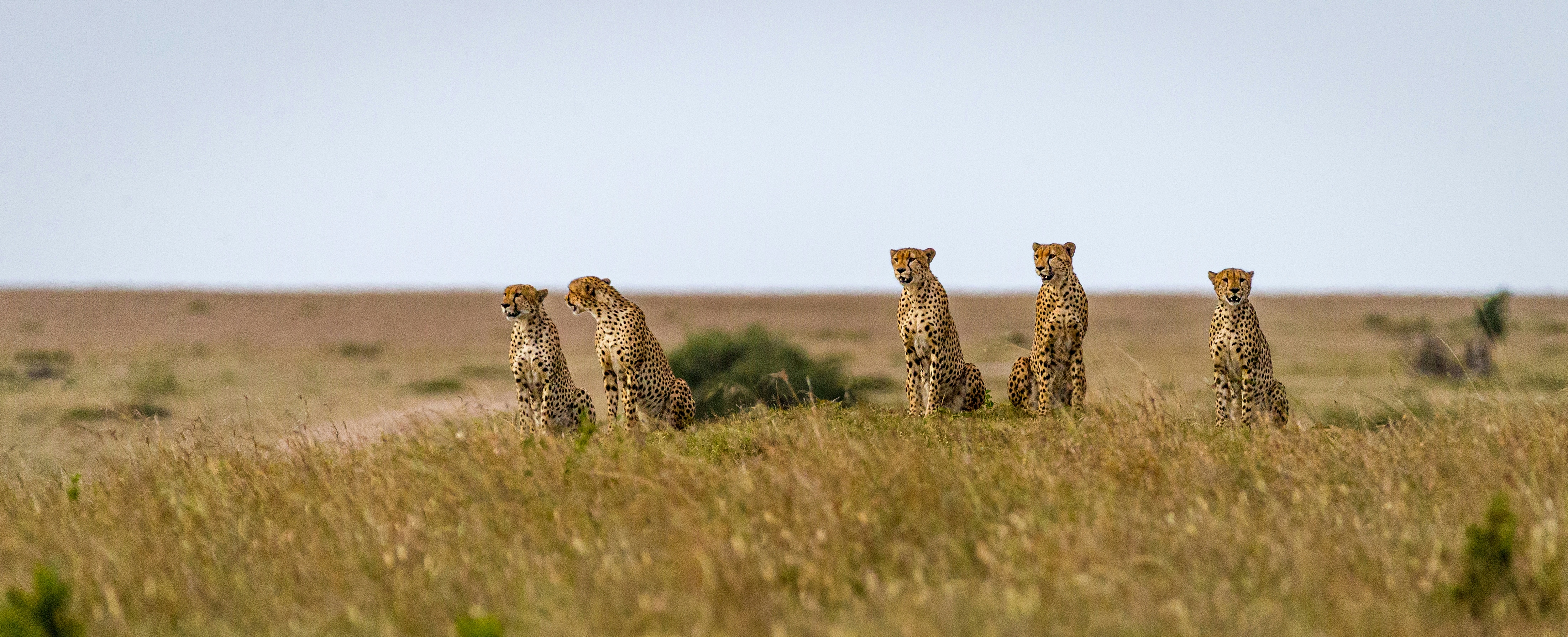 Masai Mara Holidays