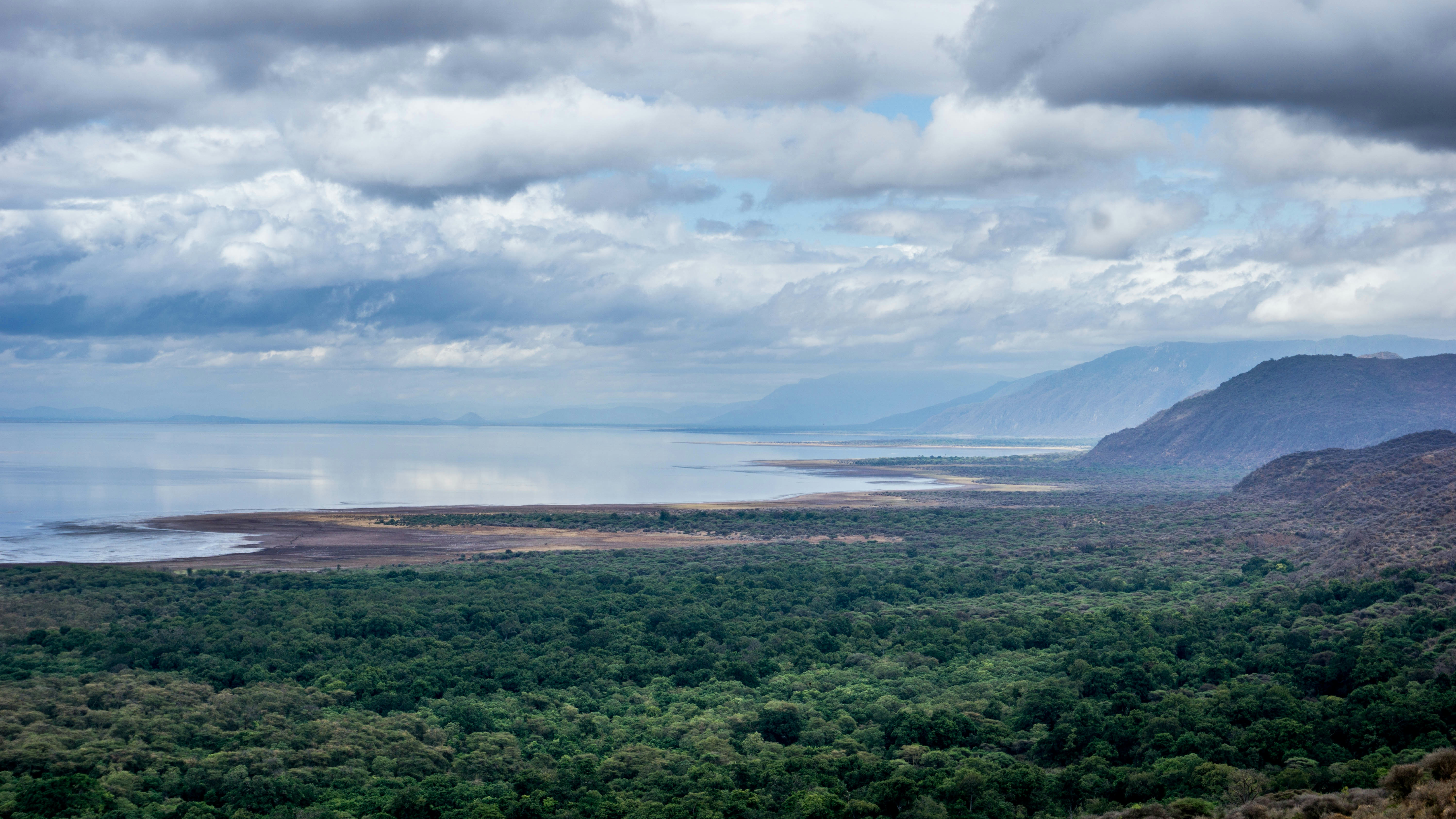 Holidays to Lake Manyara National Park