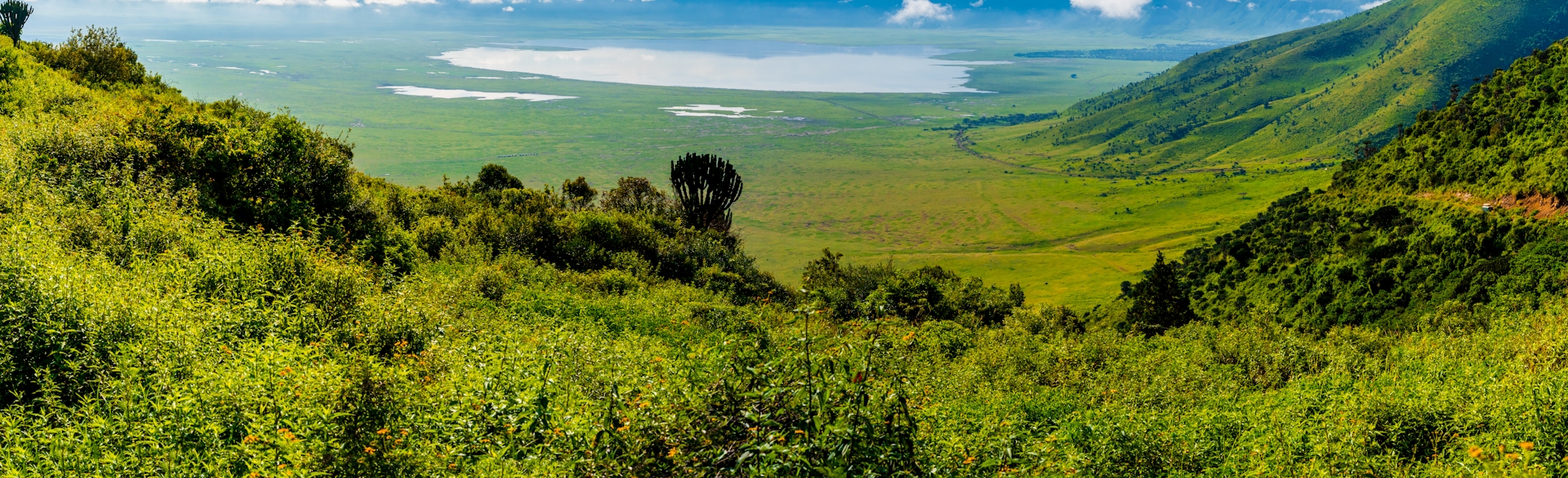 ngorongoro-crater.jpeg