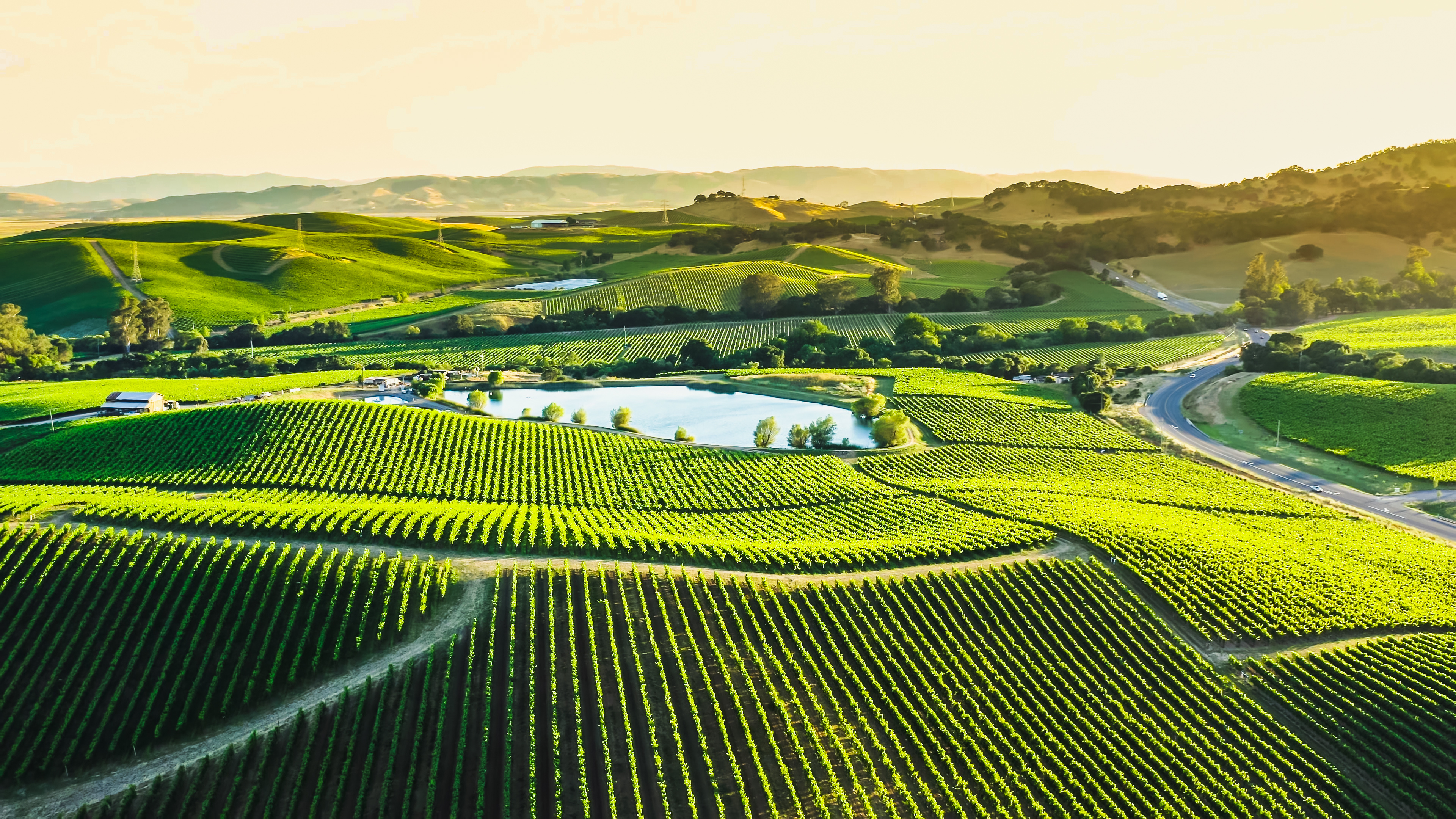 Popular California Wine Country Holidays