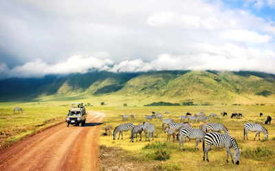 Africa & Mexico Holidays