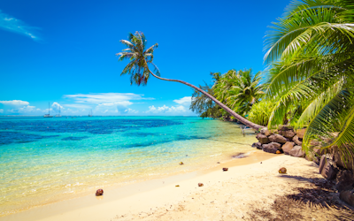 Caribbean Holidays