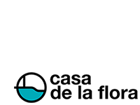 Casa De La Flora