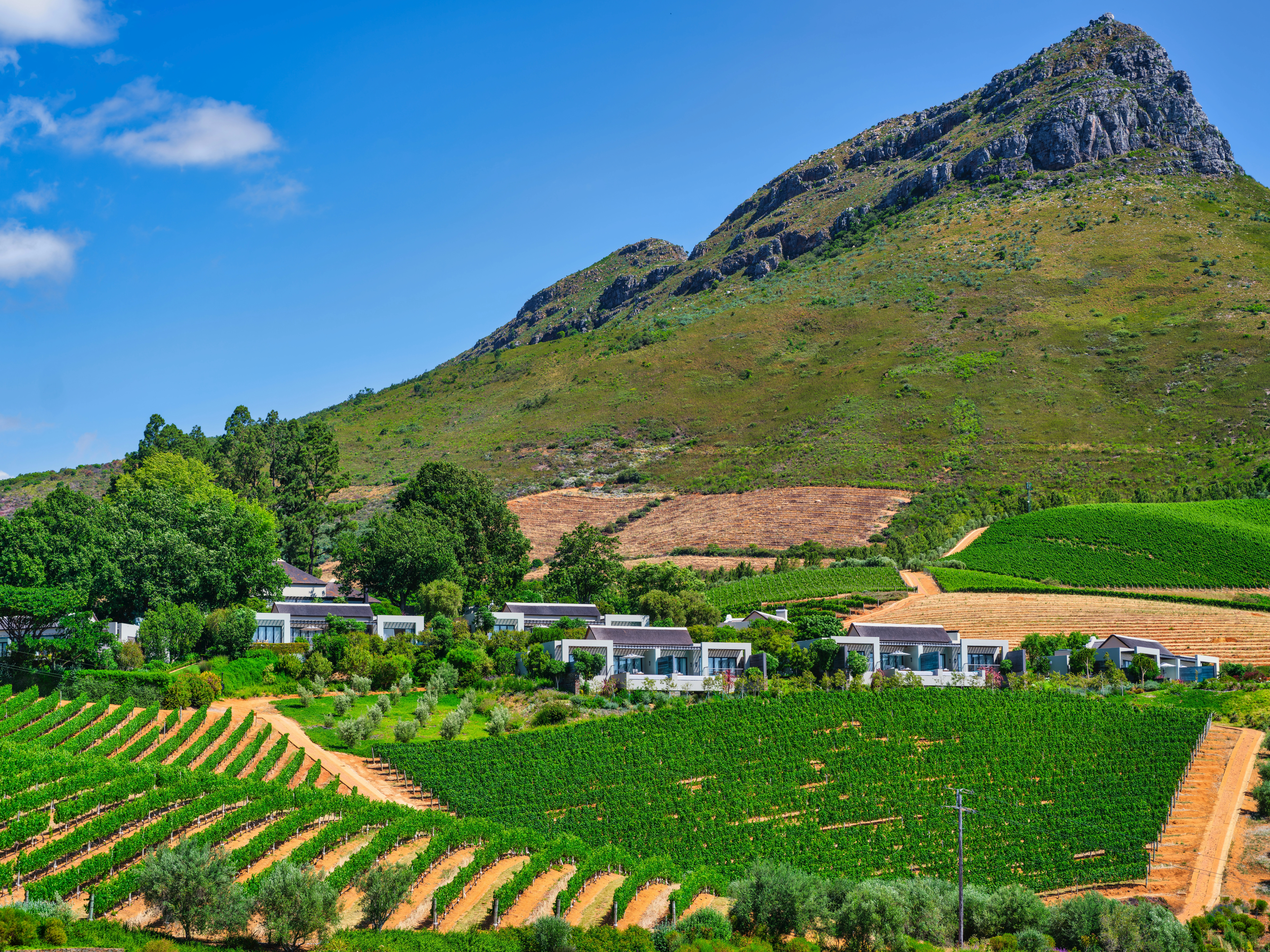 Cape Town, Winelands and Wildlife Itinerary details