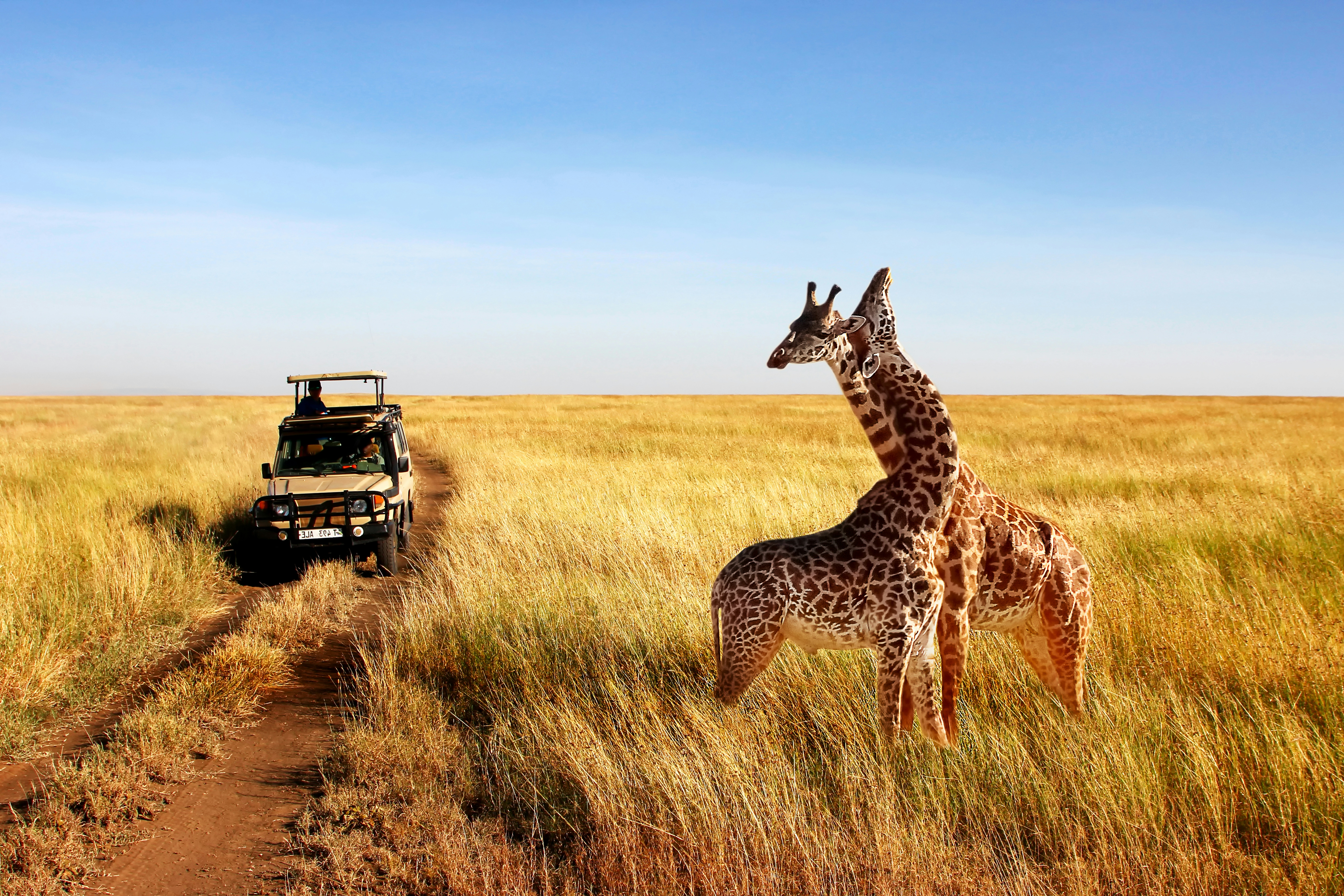 Highlights of Tanzania