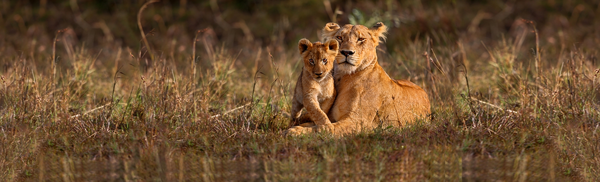 Kenya: The Trip You'll Never Forget