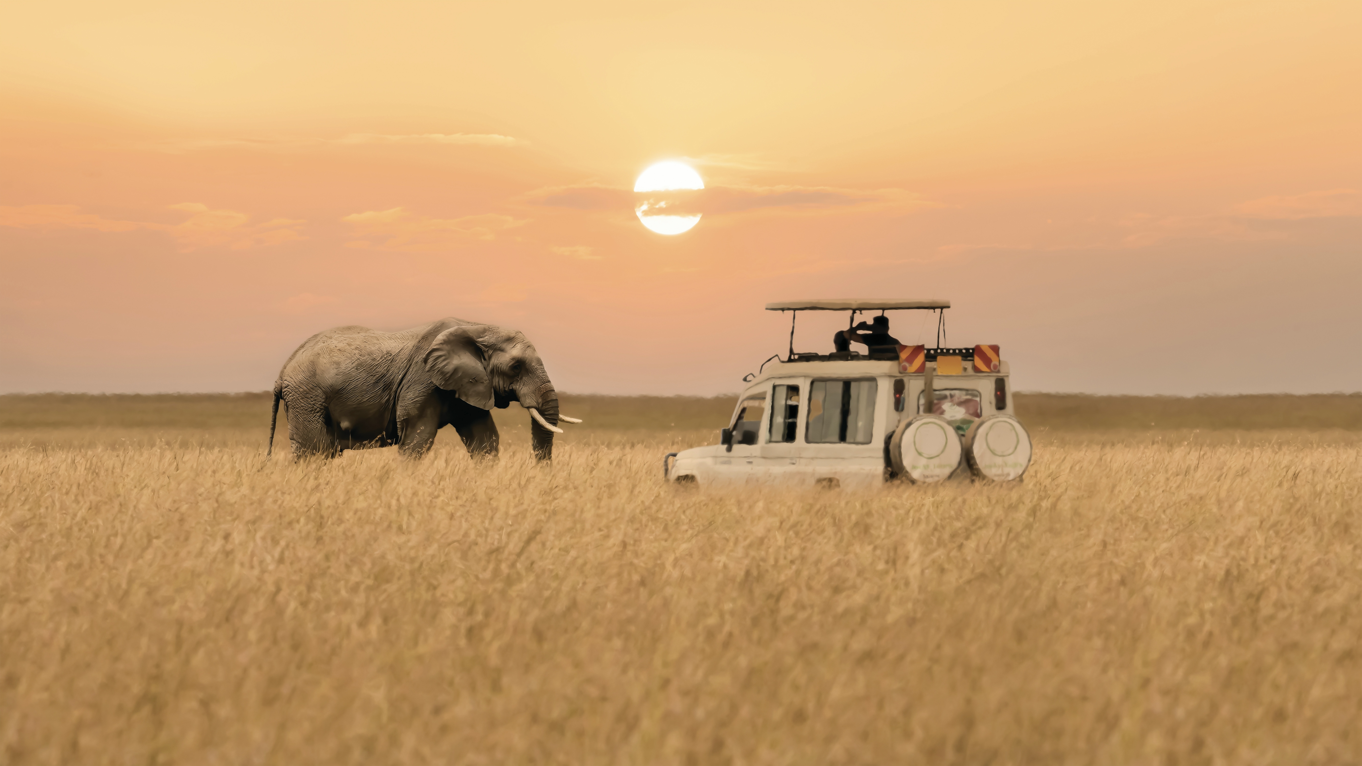 Kenya Tours