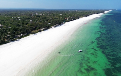 Relax on Diani's Pristine Beaches