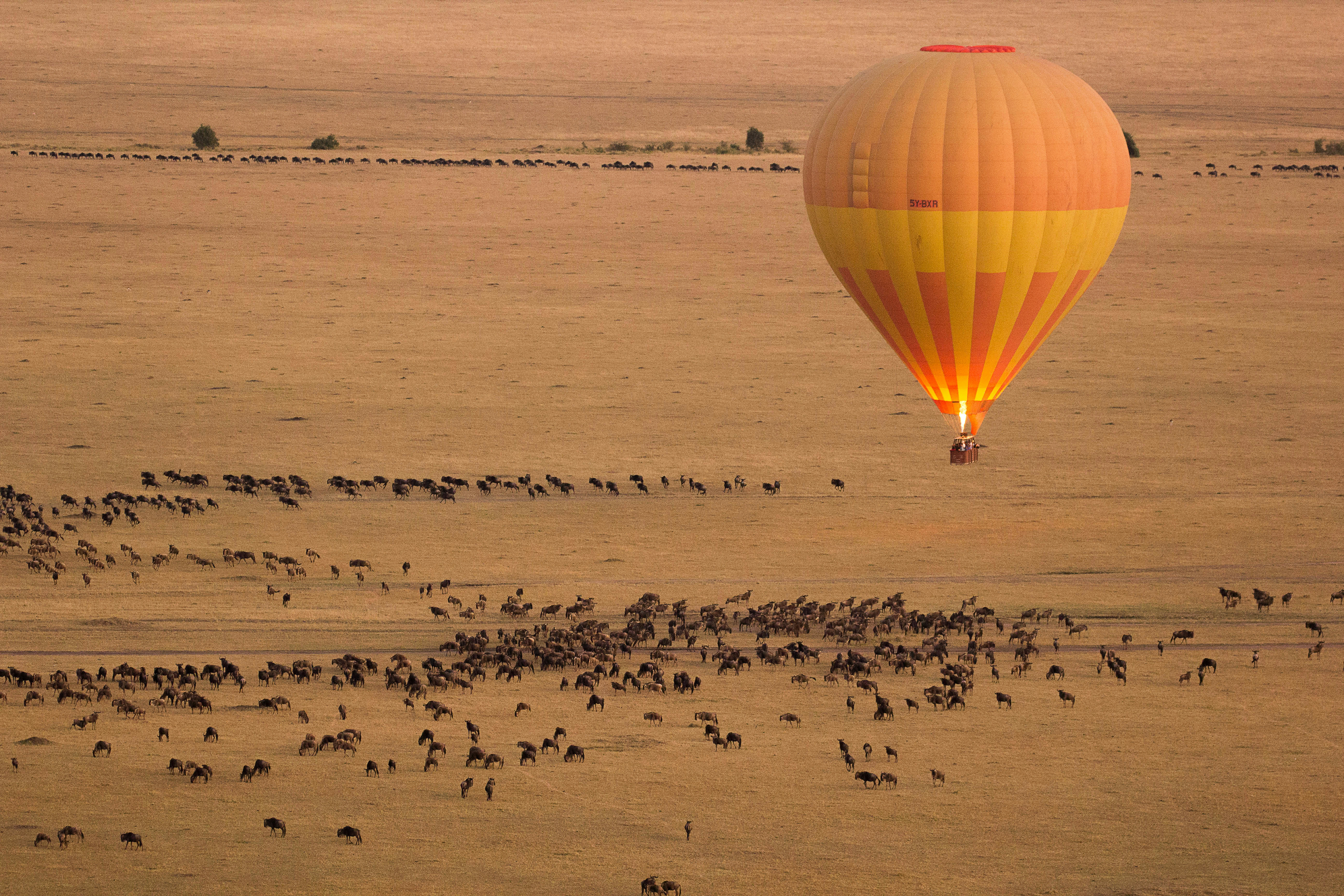 Take a Hot Air Balloon Safari