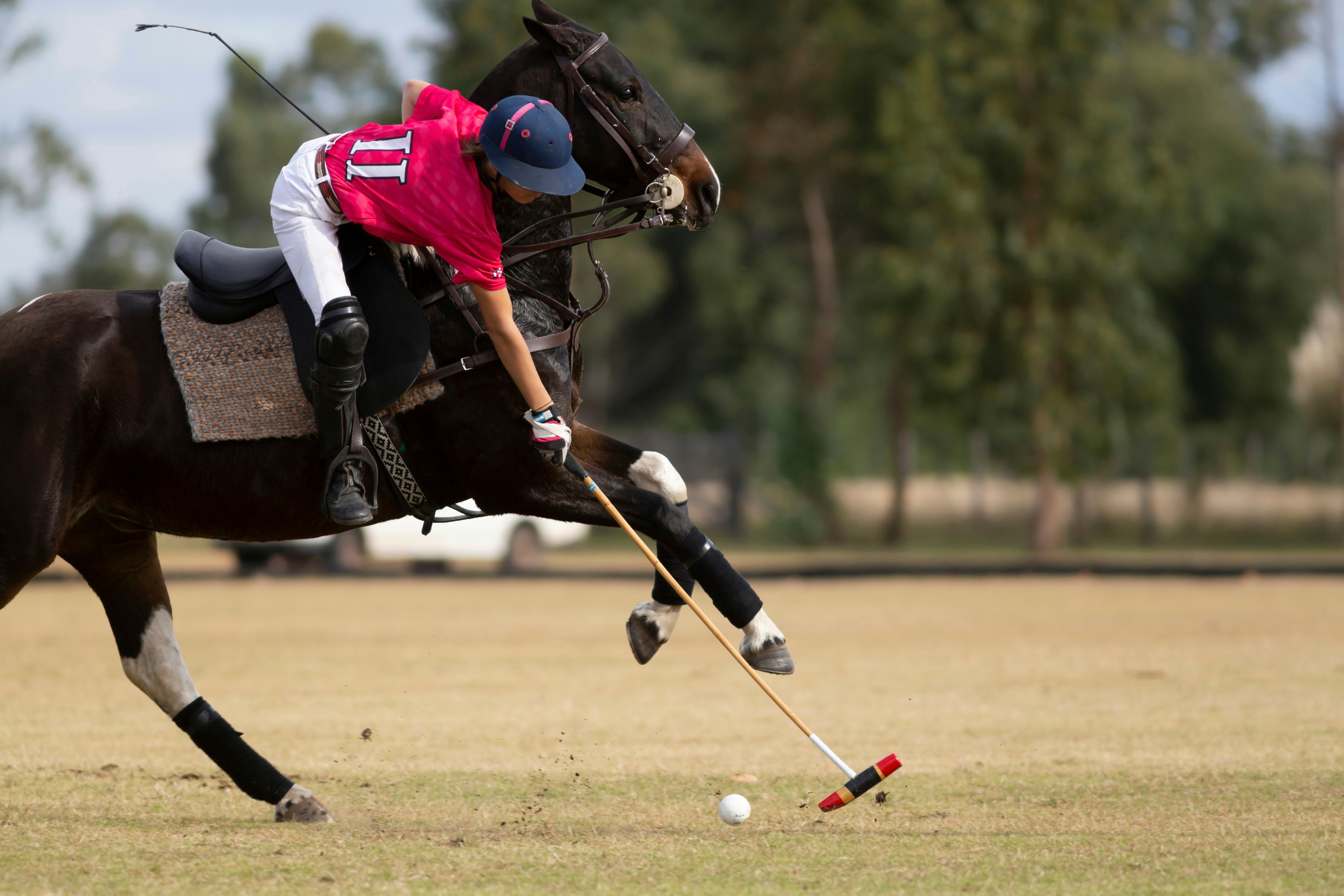 Richard Mille Alula Desert Polo