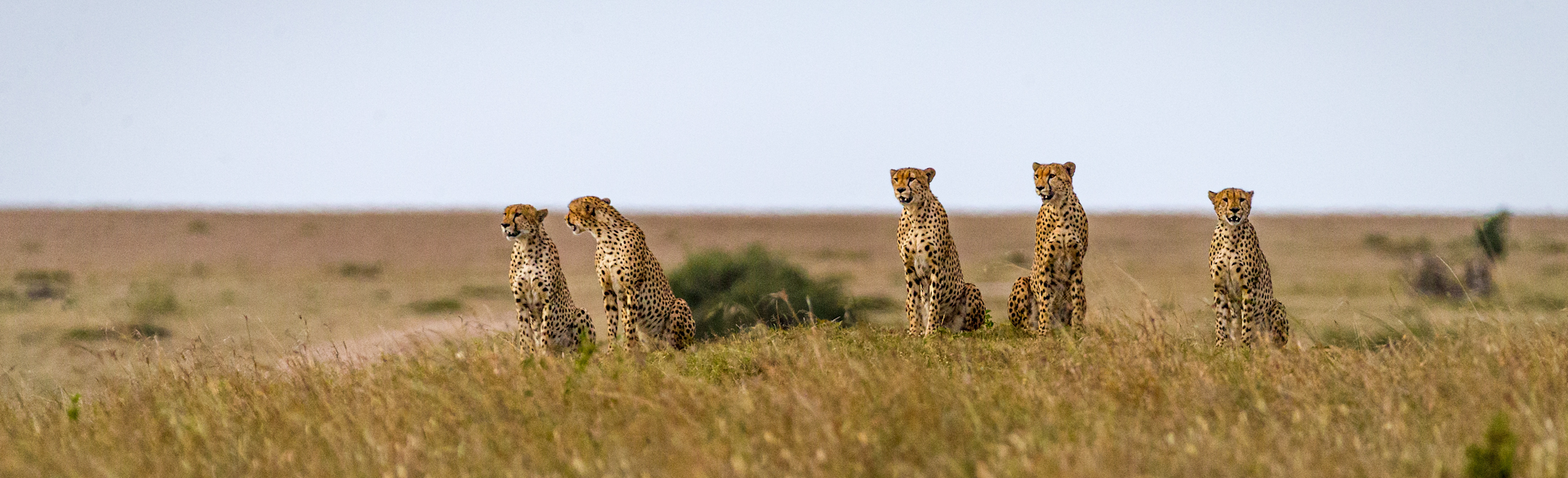 Kenya Holidays