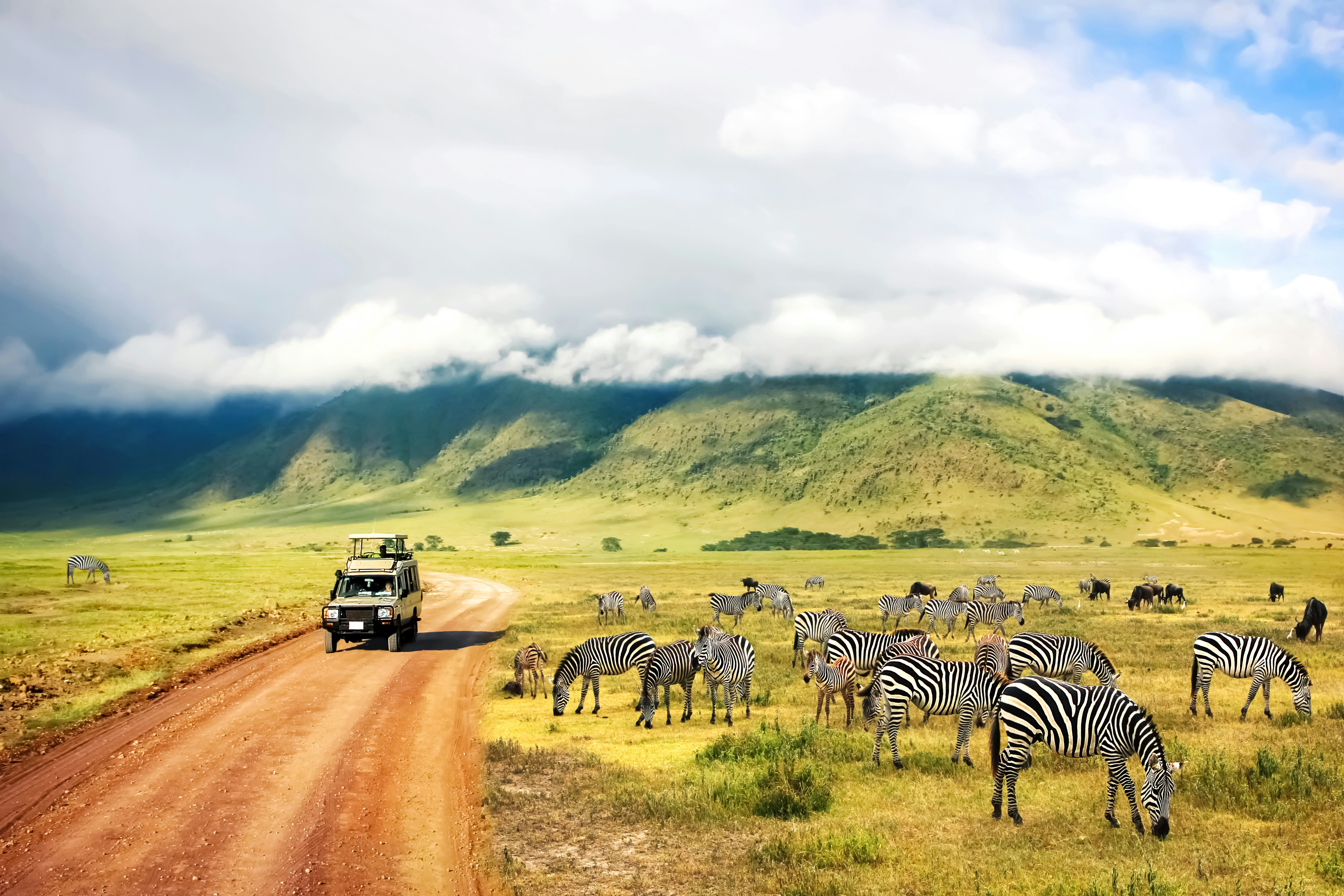 Safari Holidays