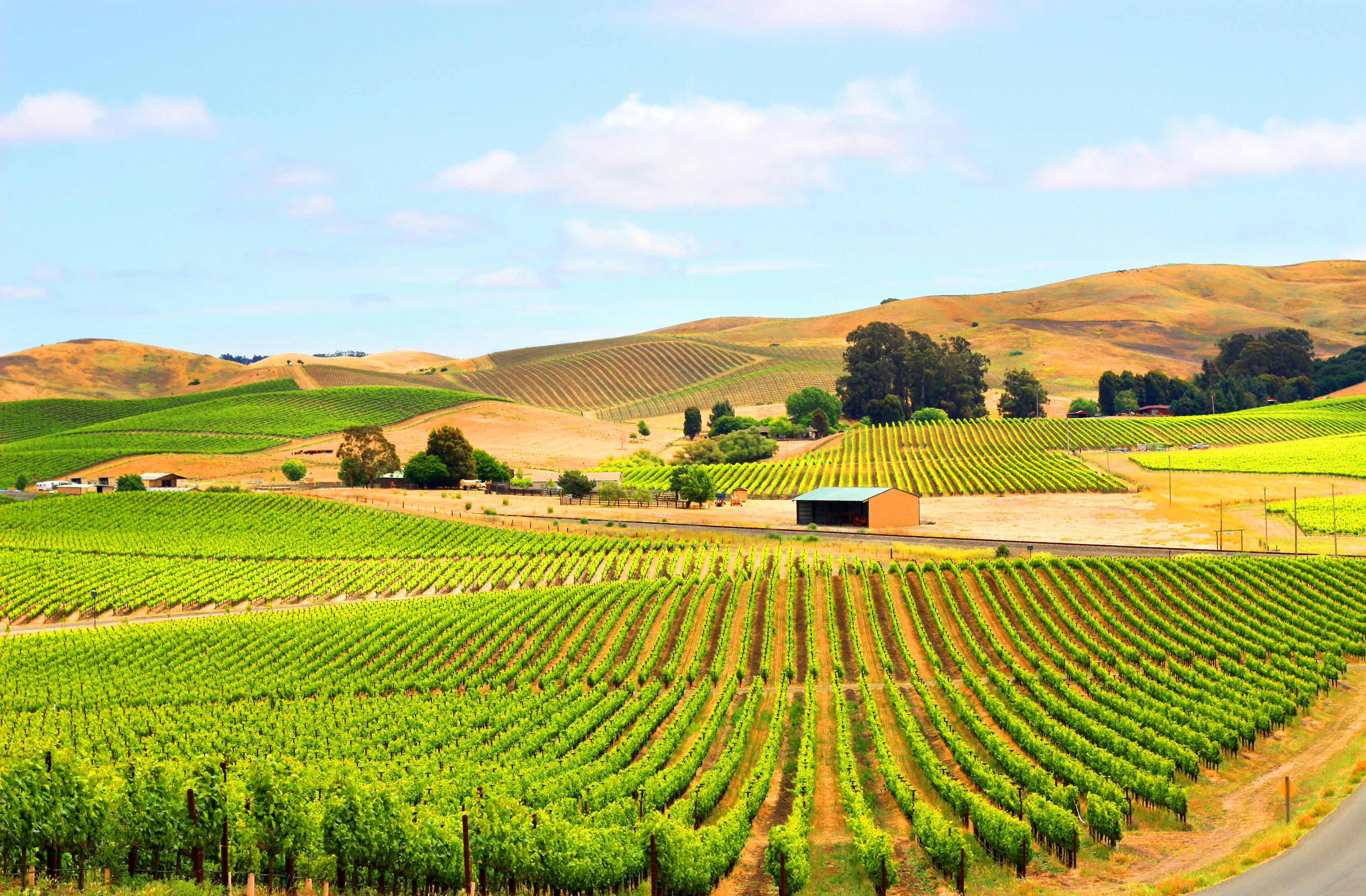 California Wine County Holidays